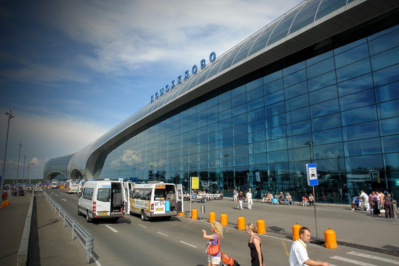 В Домодедово потерялась сданная в багаж собака