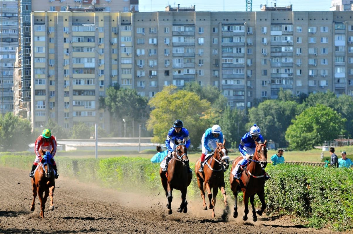 Сохранение ростовского ипподрома в центре города: миф или реальность?