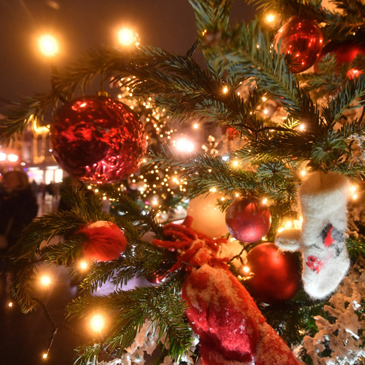 Как встретить Новый Год на Кубани