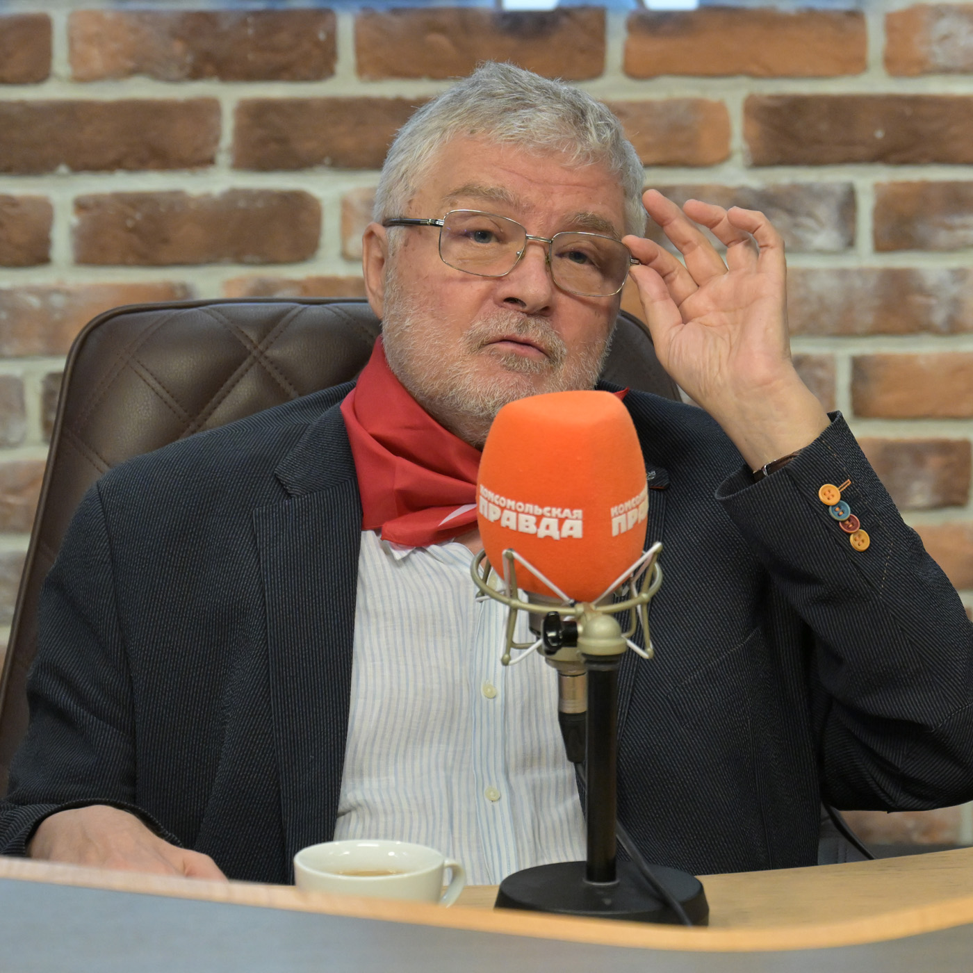 Юрий Поляков: Маркировка литературы бессмысленна. Придётся промаркировать все книги! episode artwork