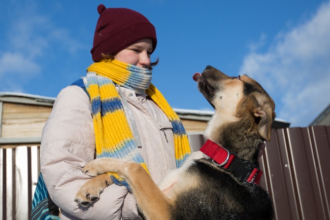 Девушка и собака
