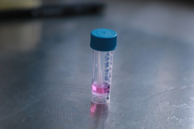 Один из ведущих сотрудников Роскосмоса умер от COVID-19