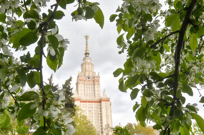 Что важного и интересного произошло 17 мая 2020 года