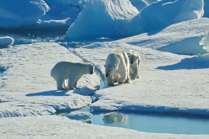 Ученый-климатолог РАН рассказал, когда в Сибири будут тропики