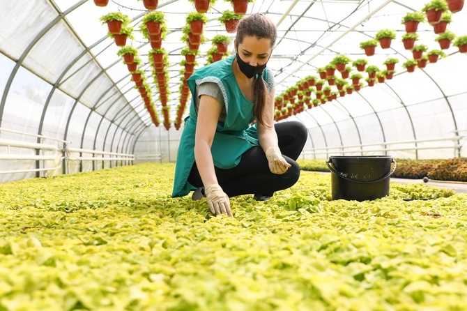 Эпидемия коронавируса: главные события за 5 июня