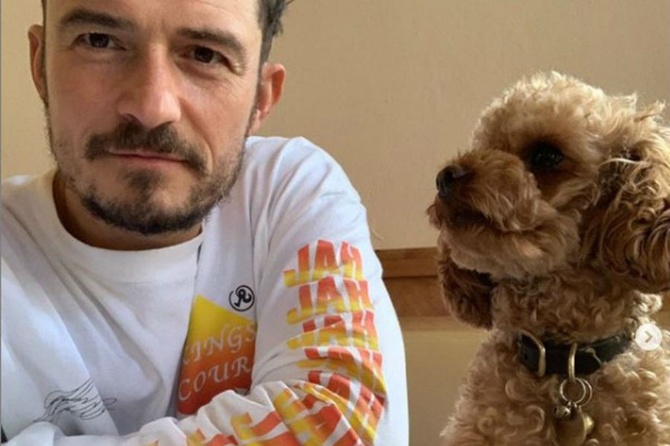 Орландо Блум и его собака Майти