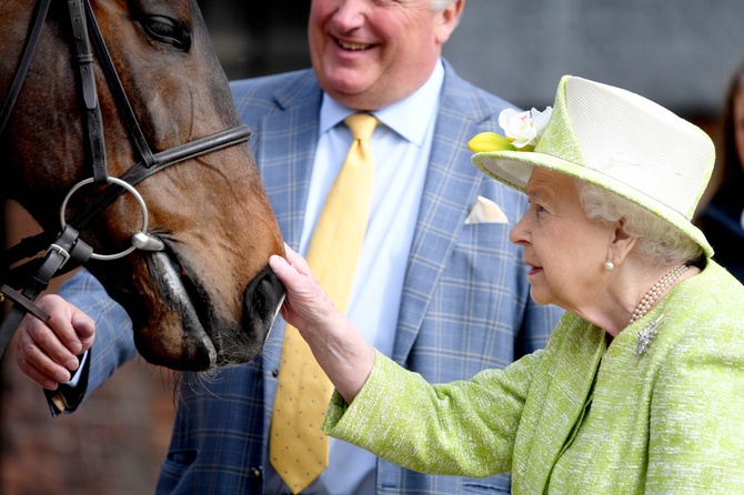 Погубили фаворита: жеребца Елизаветы II усыпили ветеринары