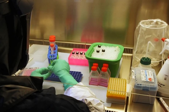 Все больше китайцев стало умирать от чумы