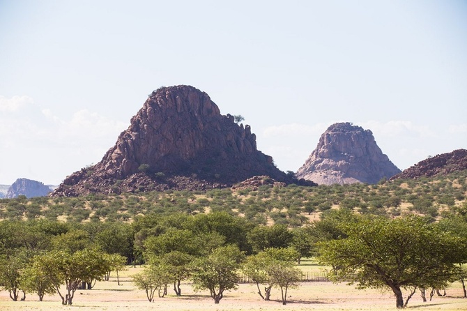 «Я не жажду править миром»: в парламент Намибии избран Адольф Гитлер