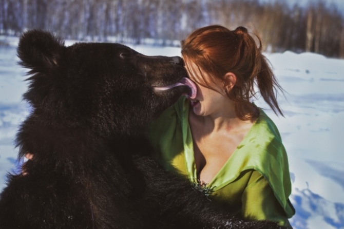 «Медведь в целом»: ВЦИОМ провел опрос о символе России «Медведь в целом»: ВЦИОМ провел опрос о символе России