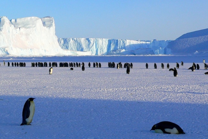 «Требуется серьезный ресурс»: Сергей Брилев объяснил, как попасть в Антарктиду