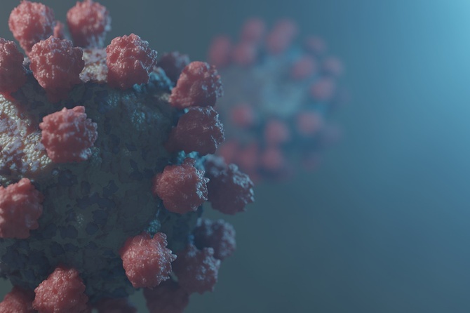 Анча Баранова назвала факторы, увеличивающие риск смерти из-за коронавируса