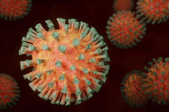 Иммунолог рассказал, когда коронавирус «отпустит» Россию и мир