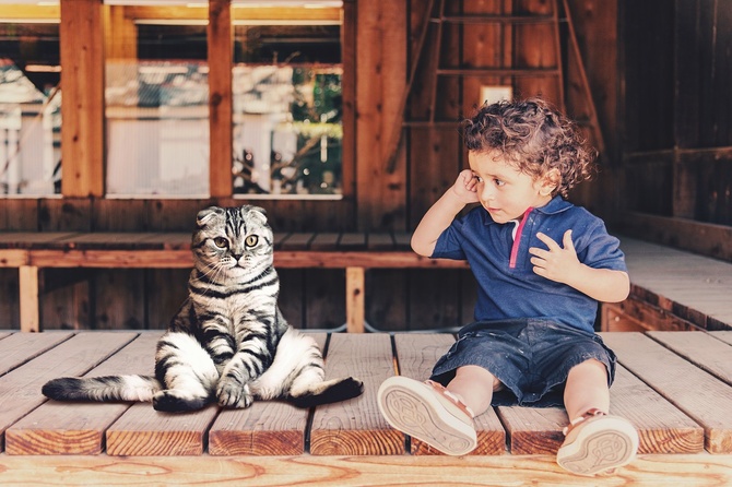 Психолог объяснила, почему ребенок должен расти с кошкой