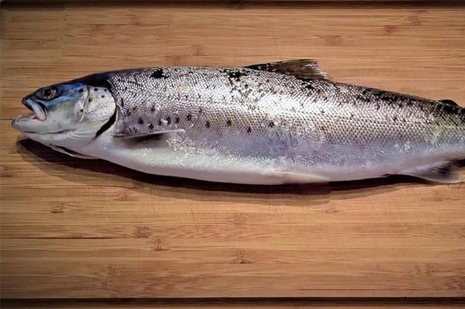 Очищает сосуды от холестерина: какой бюджетной рыбой можно заменить дорогие форель и семгу