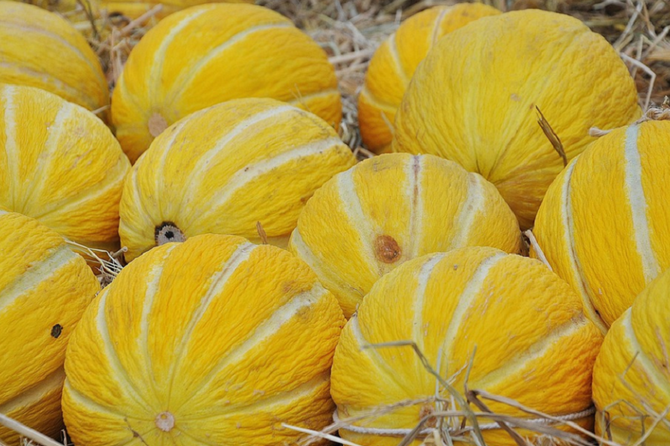 Названы признаки некачественной дыни
