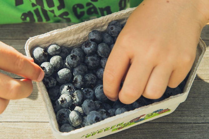 Невролог назвал продукты, необходимые школьнику в начале учебного года