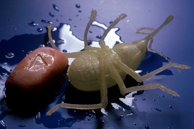 Такого способа вы нигде не найдете: просто измельчите мыло — тараканы уйдут