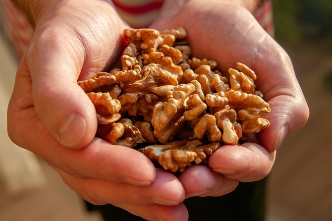 Перечислены помогающие при стрессе продукты