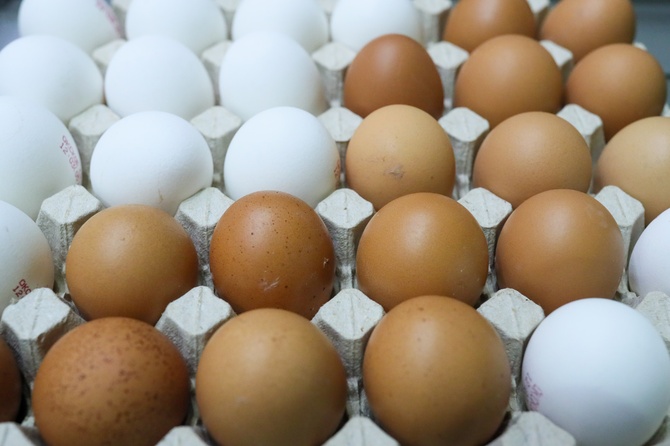 Эксперт объяснил, зачем России импортные яйца из Турции