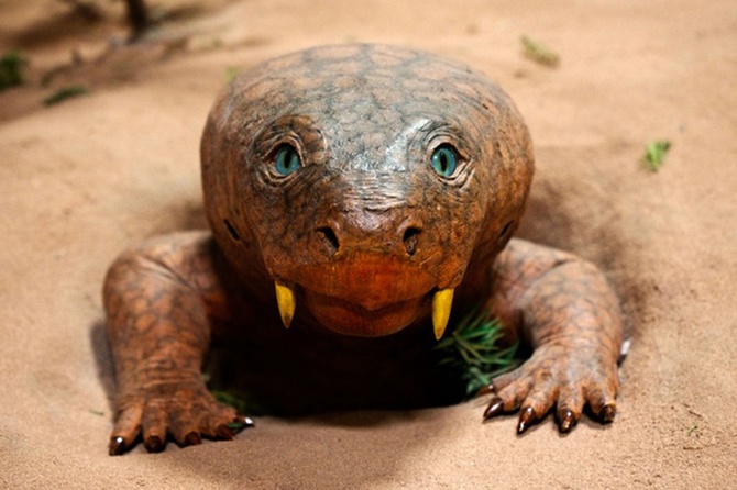 Ученые разгадали тайну странного животного, найденного на наскальном рисунке в Южной Африке