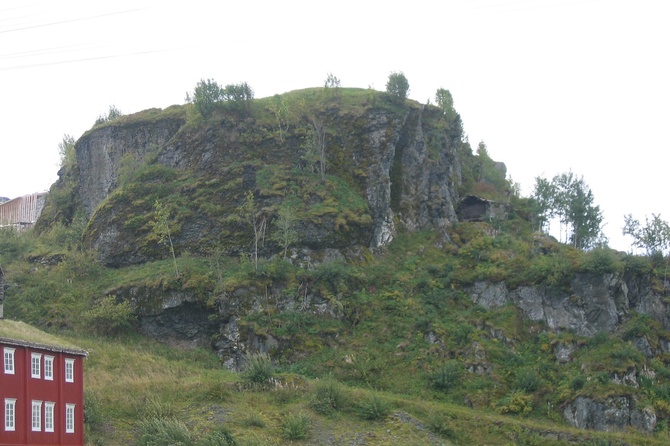 Ученые впервые расшифровали ДНК персонажа скандинавской саги