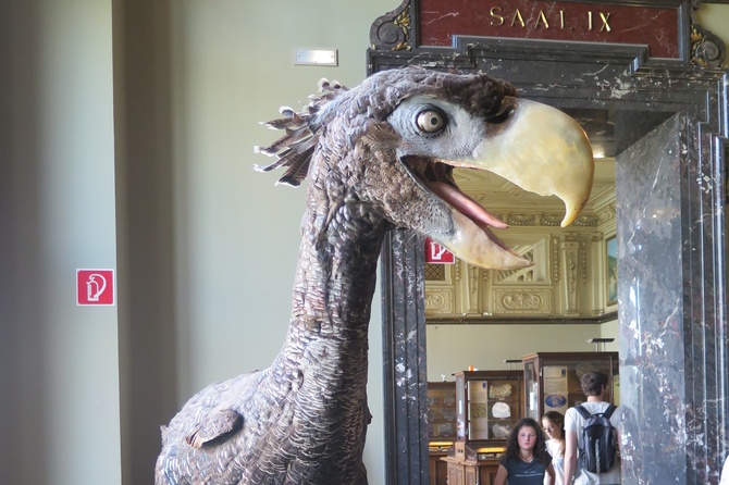 В Колумбии нашли останки самой крупной в истории «птицы ужаса»