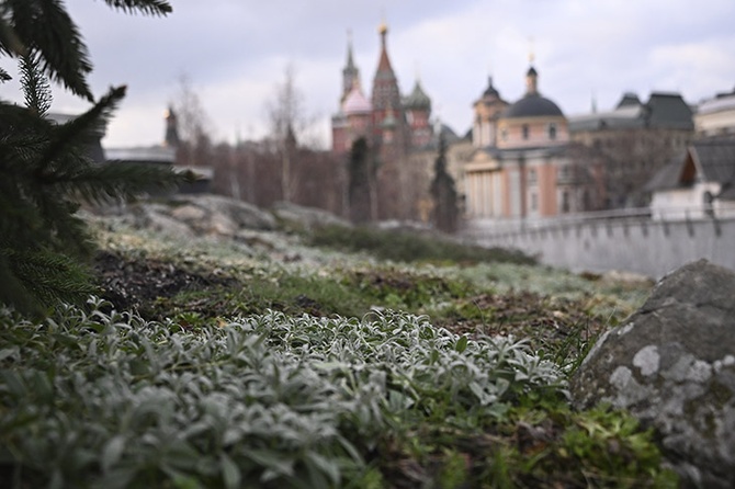 Долгожданное тепло возвращается в столичный регион