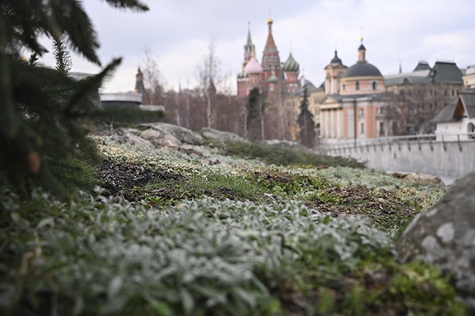 Слабый мороз и облачность ожидаются в Москве 7 февраля
