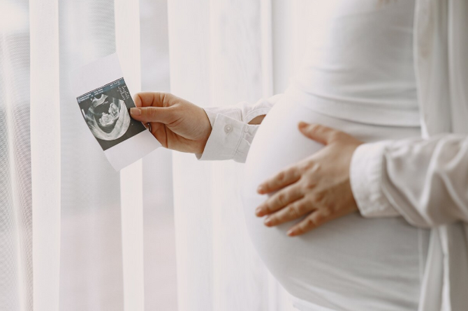 Милонов предложил ввести бесплатный проезд для беременных