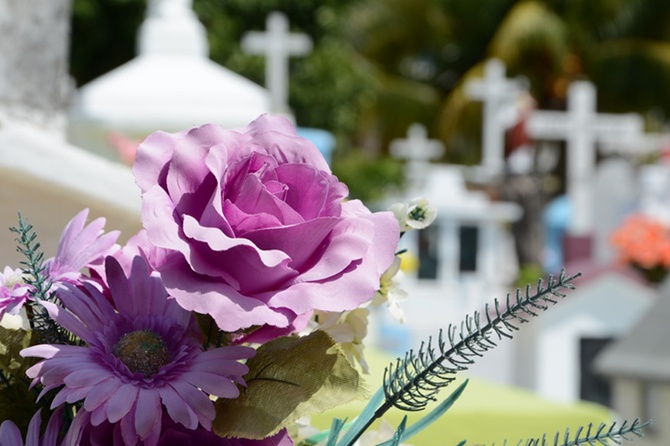 В ГД не оценили идею запретить россиянам носить искусственные цветы на кладбища