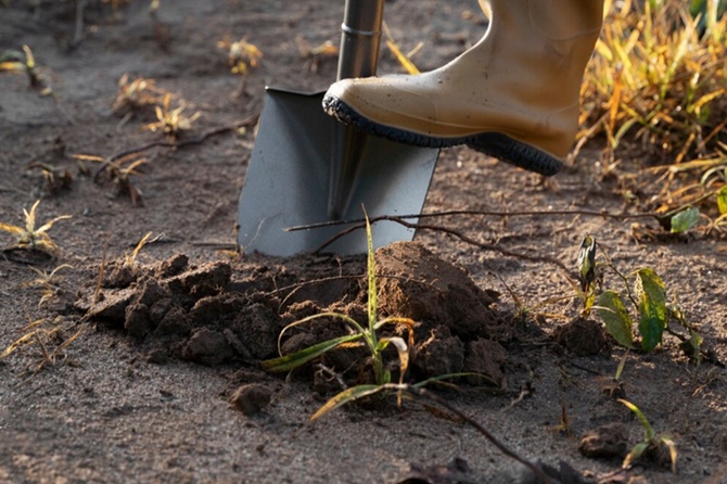 Юрист рассказал, кому принадлежит найденный на участке клад