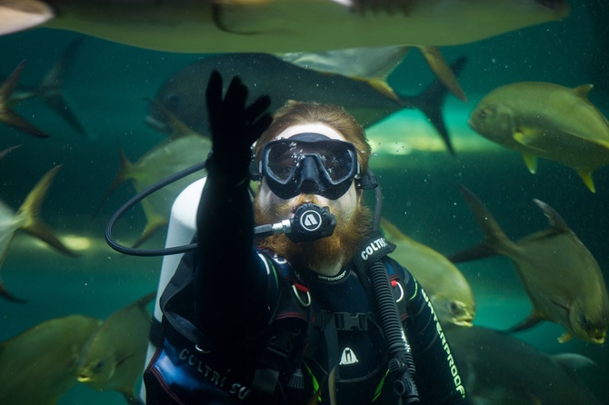 Дайвинг на Кубани