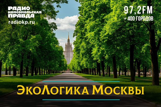 От елок до текстиля - что позволяют утилизировать «Экоточки Москвы»
