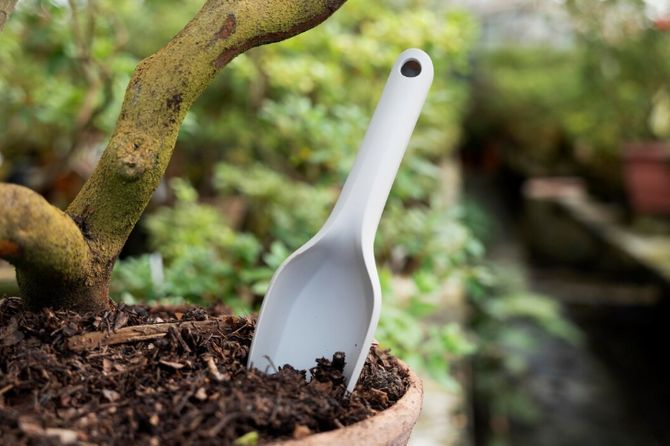 Россиянам рассказали о главных мифах дачного сезона