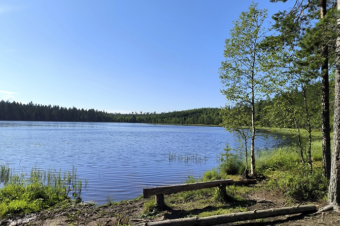 Россиян призвали не купаться в стоячих водоемах из-за угрозы менингита