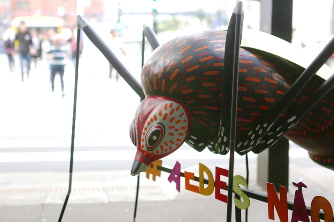 Врач назвала 12 стран, где отдых может омрачить вирус чикунгунья