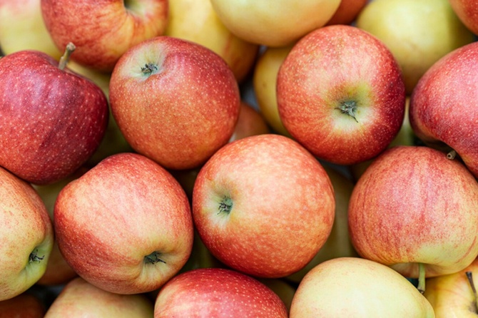 Россиянам назвали две хитрости долгого хранения урожая яблок