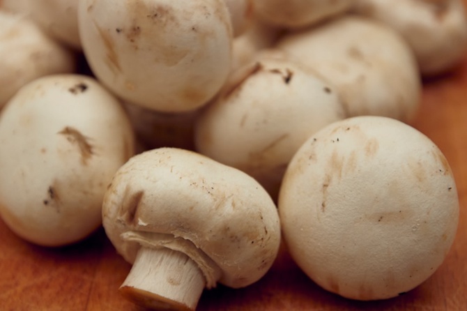 Педиатр раскрыла, с какого возраста детям можно давать грибы