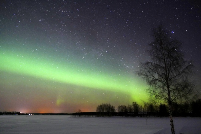 Ученые заявили, что падение метеорита 78 млн лет назад привело к появлению новых организмов на Земле