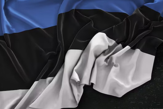 Роет себе могилу: политолог о намерении Эстонии установить заграждения на границе с Россией