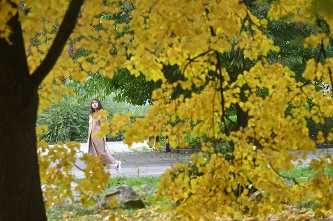 Металлоконструкции в Приморско-Ахтарск посмотреть Металлоконструкции в Приморско-Ахтарск посмотреть