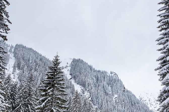Спасатели добрались до точки последнего сигнала телефона пропавшей семьи Усольцевых