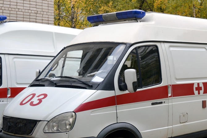 Водитель снес стадо коров на трассе под Омском