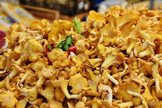 Врач Агаева назвала главные признаки отравления грибами