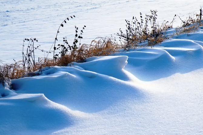 Водитель автобуса спасла замерзавшего на улице ребенка в Новокузнецке
