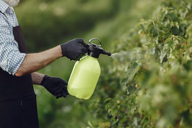 Ученые из России и Армении создали новый инсектицид на основе яда паука