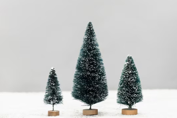В России начали продавать половинки елок для малогабаритных квартир