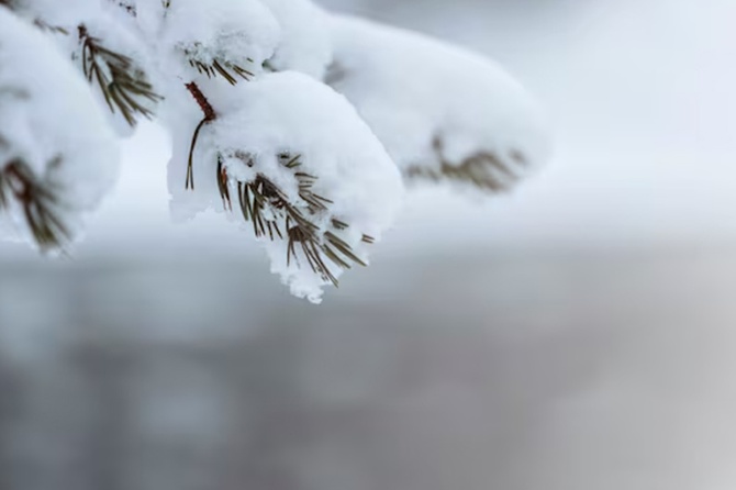Синоптик пообещала настоящую зимнюю погоду на Новый год в Москве