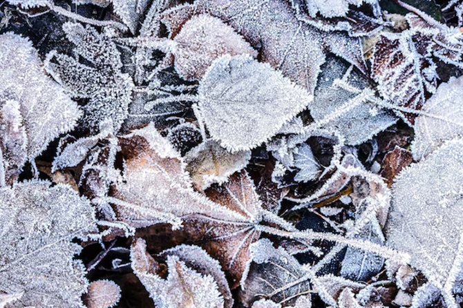 До -3 градусов похолодает в Московском регионе 8 декабря До -3 градусов похолодает в Московском регионе 8 декабря